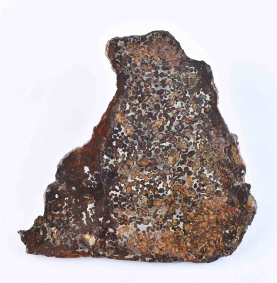 Sericho pallasite meteorite disc