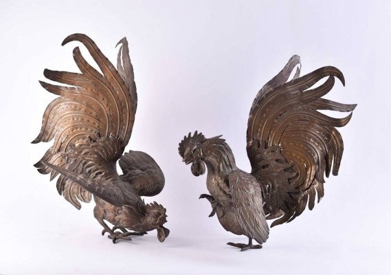 Two fighting cocks Portugal