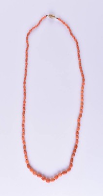 Korallenkette 