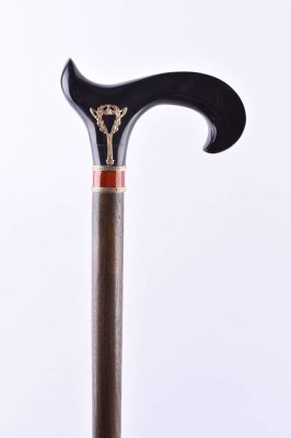 Walking stick Russia