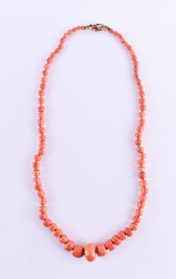 Korallen Kette