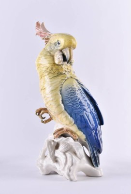 Cockatoo Ens