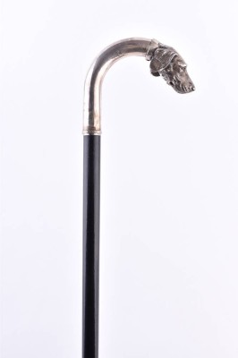Walking stick Russia